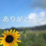 ヒメ日記 2025/07/12 13:30 投稿 あんな 千葉人妻花壇