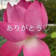 ヒメ日記 2025/09/26 01:32 投稿 あんな 千葉人妻花壇