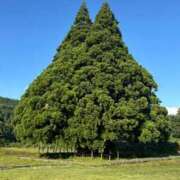 ヒメ日記 2025/10/06 14:13 投稿 藤宮 りりあ ミスターダンディー