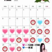 ヒメ日記 2025/12/15 10:13 投稿 藤宮 りりあ ミスターダンディー