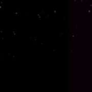 ヒメ日記 2025/12/05 16:15 投稿 くれあ 全身敏感ボディ！！ ウエスト・コム