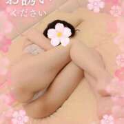 ヒメ日記 2025/04/16 20:33 投稿 あかり 池袋人妻城