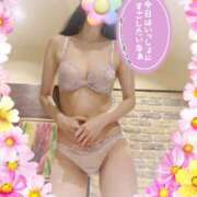 ヒメ日記 2025/06/26 07:33 投稿 あかり 池袋人妻城