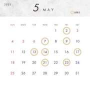 ヒメ日記 2025/04/14 21:45 投稿 咲川 いのり SUMIRE