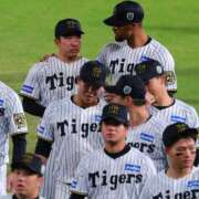 ヒメ日記 2025/10/31 00:41 投稿 みれい MOMO(モモ)