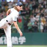 ヒメ日記 2025/11/10 11:05 投稿 みれい MOMO(モモ)