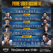 ヒメ日記 2025/11/24 11:23 投稿 みれい MOMO(モモ)