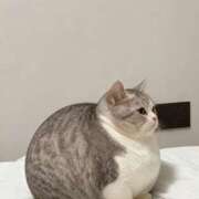 ヒメ日記 2025/12/16 00:10 投稿 みれい MOMO(モモ)