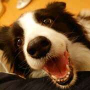 ヒメ日記 2026/01/11 00:05 投稿 みれい MOMO(モモ)