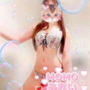 ヒメ日記 2026/01/24 11:34 投稿 みれい MOMO(モモ)