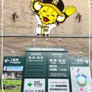 ヒメ日記 2026/03/10 20:54 投稿 みれい MOMO(モモ)