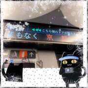 ヒメ日記 2026/03/14 11:35 投稿 みれい MOMO(モモ)