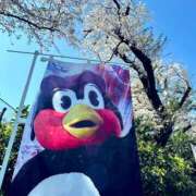 ヒメ日記 2026/04/03 12:30 投稿 みれい MOMO(モモ)