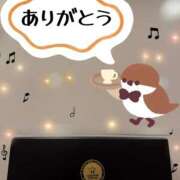 ヒメ日記 2026/06/01 00:31 投稿 みれい MOMO(モモ)