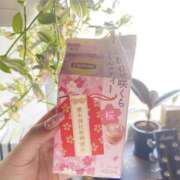 ヒメ日記 2025/02/12 08:45 投稿 ひかる 千葉柏ちゃんこ