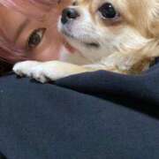 ヒメ日記 2025/04/30 16:40 投稿 ひかる 千葉柏ちゃんこ