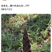 ヒメ日記 2025/05/01 07:15 投稿 ひかる 千葉柏ちゃんこ