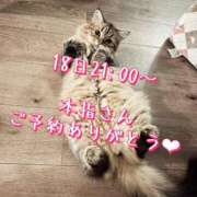 ヒメ日記 2024/12/17 11:15 投稿 すず 錦糸町人妻花壇