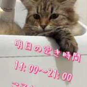 ヒメ日記 2024/12/17 15:15 投稿 すず 錦糸町人妻花壇