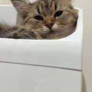 ヒメ日記 2024/12/17 18:31 投稿 すず 錦糸町人妻花壇