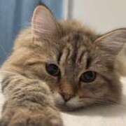 ヒメ日記 2024/12/18 10:15 投稿 すず 錦糸町人妻花壇