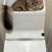 ヒメ日記 2024/12/18 22:15 投稿 すず 錦糸町人妻花壇