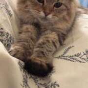 ヒメ日記 2024/12/27 19:15 投稿 すず 錦糸町人妻花壇