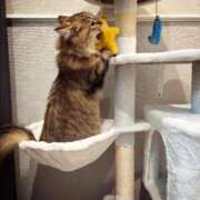 ヒメ日記 2024/12/28 21:15 投稿 すず 錦糸町人妻花壇