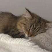 ヒメ日記 2025/01/03 10:15 投稿 すず 錦糸町人妻花壇