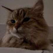 ヒメ日記 2025/01/07 00:45 投稿 すず 錦糸町人妻花壇