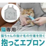 ヒメ日記 2025/01/12 14:15 投稿 すず 錦糸町人妻花壇