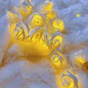 ヒメ日記 2025/01/18 15:35 投稿 すず 錦糸町人妻花壇