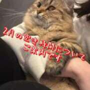 ヒメ日記 2025/01/29 16:15 投稿 すず 錦糸町人妻花壇