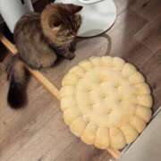 ヒメ日記 2025/01/30 21:15 投稿 すず 錦糸町人妻花壇