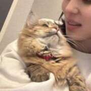 ヒメ日記 2025/02/05 19:15 投稿 すず 錦糸町人妻花壇