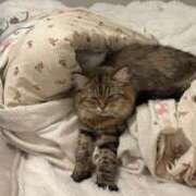 ヒメ日記 2025/02/11 01:15 投稿 すず 錦糸町人妻花壇