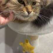 ヒメ日記 2025/02/15 23:15 投稿 すず 錦糸町人妻花壇