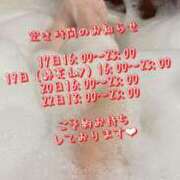 ヒメ日記 2025/02/16 22:15 投稿 すず 錦糸町人妻花壇