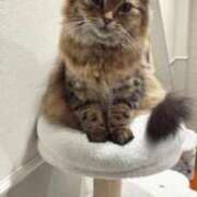 ヒメ日記 2025/02/20 16:15 投稿 すず 錦糸町人妻花壇