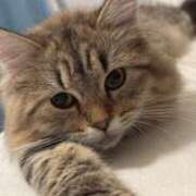 ヒメ日記 2025/02/22 15:15 投稿 すず 錦糸町人妻花壇