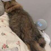 ヒメ日記 2025/02/24 23:15 投稿 すず 錦糸町人妻花壇