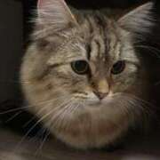 ヒメ日記 2025/02/27 10:15 投稿 すず 錦糸町人妻花壇