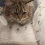 ヒメ日記 2025/02/28 18:15 投稿 すず 錦糸町人妻花壇