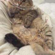 ヒメ日記 2025/03/03 19:15 投稿 すず 錦糸町人妻花壇