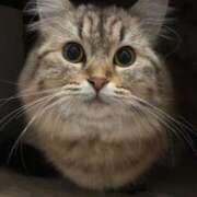 ヒメ日記 2025/03/08 18:15 投稿 すず 錦糸町人妻花壇