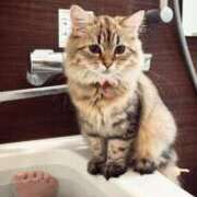 ヒメ日記 2025/03/15 17:15 投稿 すず 錦糸町人妻花壇