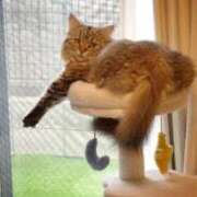 ヒメ日記 2025/03/22 08:15 投稿 すず 錦糸町人妻花壇