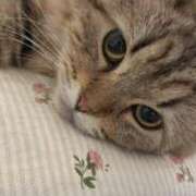 ヒメ日記 2025/04/03 18:15 投稿 すず 錦糸町人妻花壇