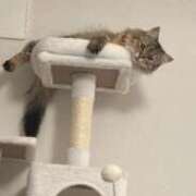 ヒメ日記 2025/04/06 15:15 投稿 すず 錦糸町人妻花壇