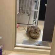 ヒメ日記 2025/04/16 23:15 投稿 すず 錦糸町人妻花壇